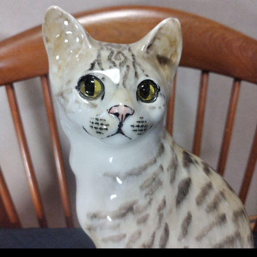 ウィンスタンレイキャット（ケンジントンキャット）サイズ6、大きな