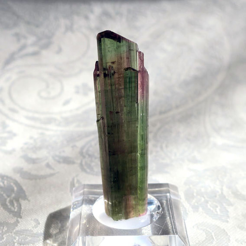 トルマリン原石 バイカラ― 48mm 天然石 コレクション｜原石・鉱物｜10