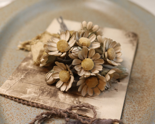 1_68158dbbd44a1747231cc17ee5ff