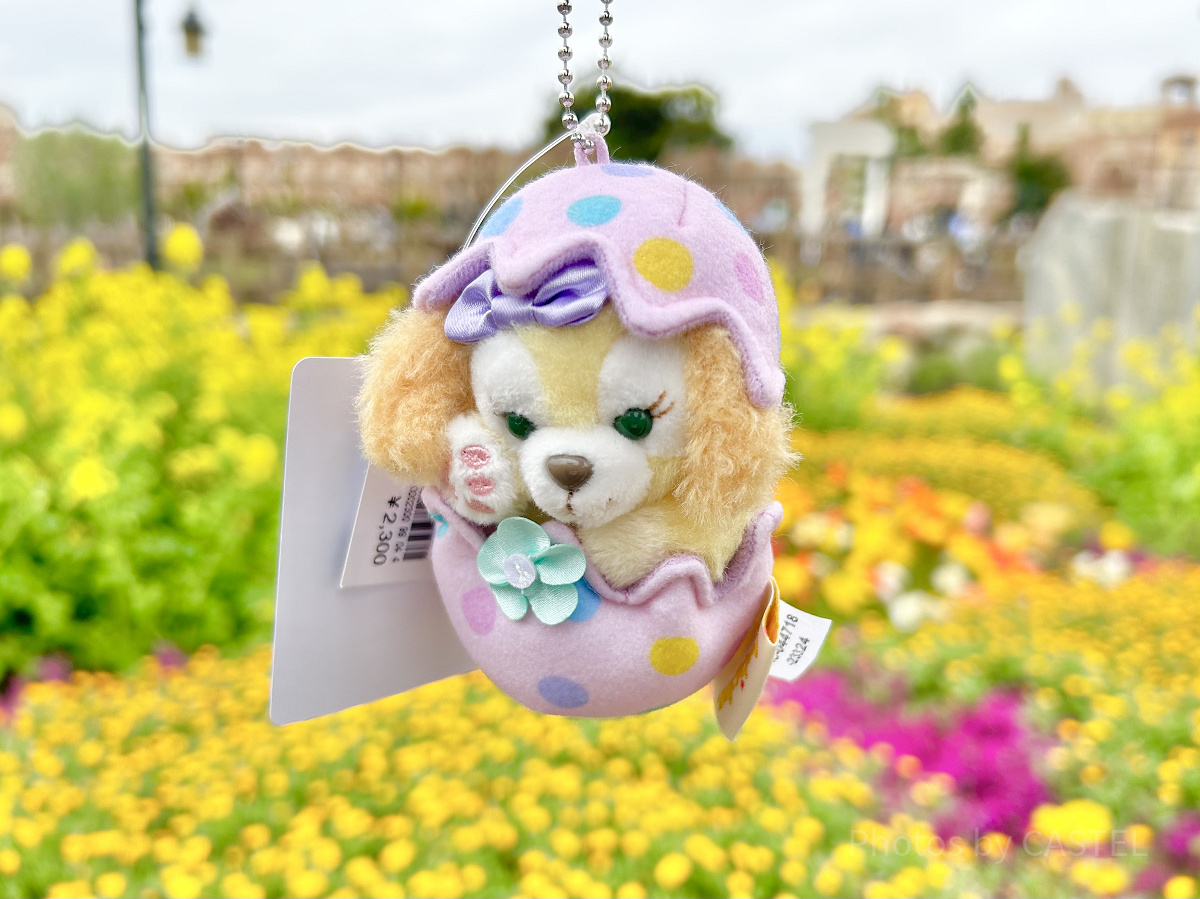 クッキーアンぬいぐるみチャーム（カム・ファインド・スプリンググッズ