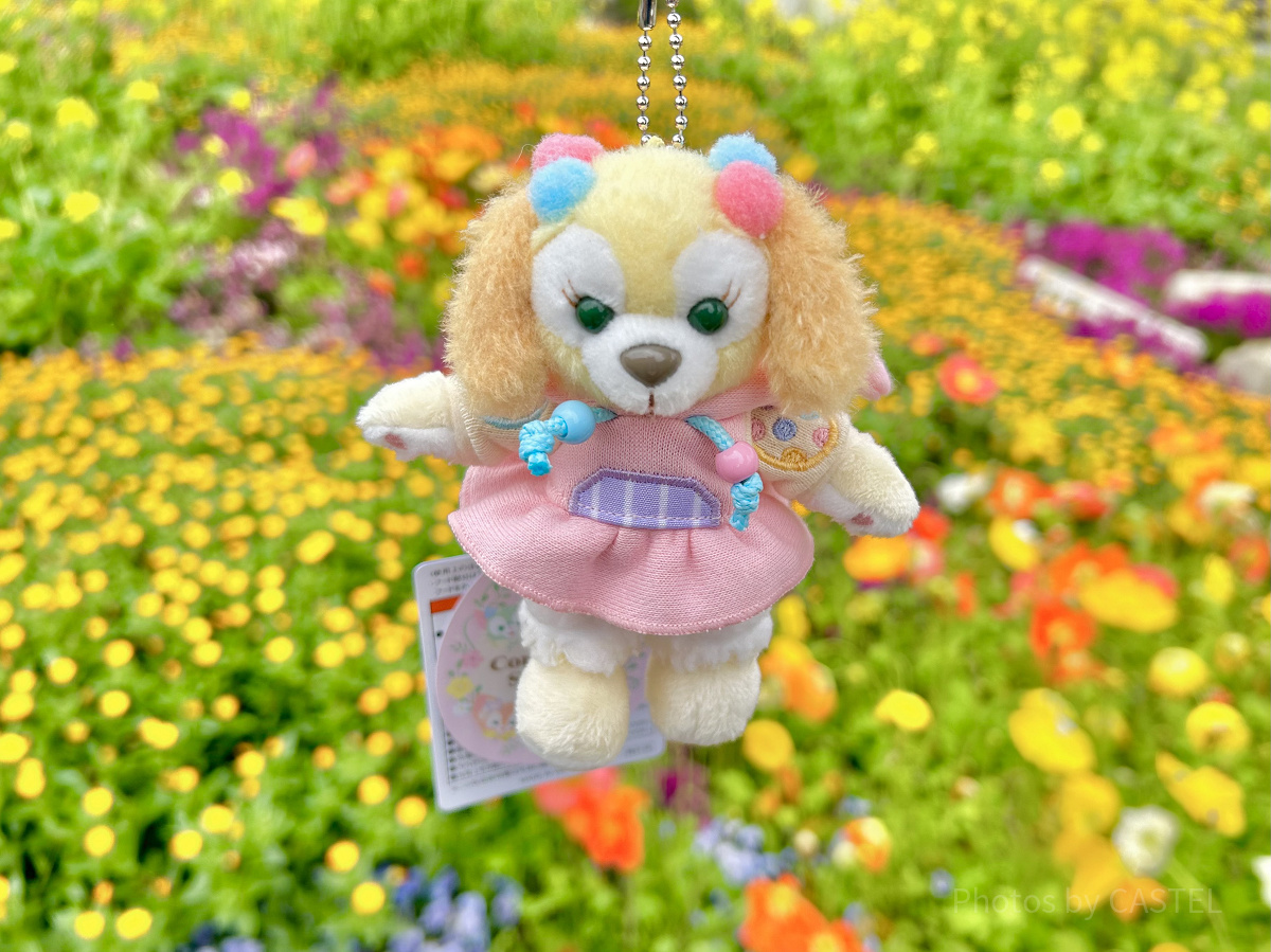 クッキーアンぬいぐるみバッジ（カム・ファインド・スプリンググッズ