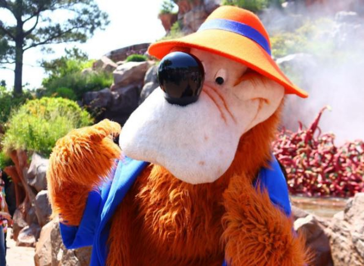 ブレア・ベア| キャステル | CASTEL ディズニー情報