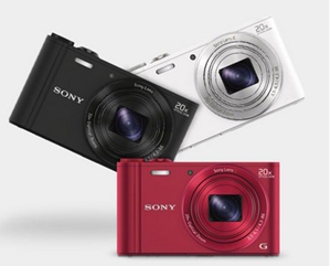 SONY Cyber-shot DSC-WX300/R Red 18.2 MP Digital Camera HDTV Output