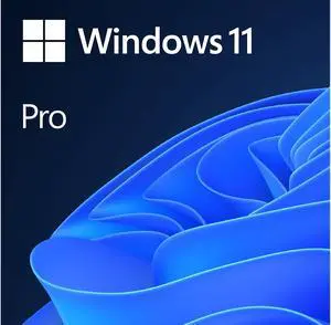 Windows 10 Pro - Full Version (USB Flash Drive) - Newegg.com