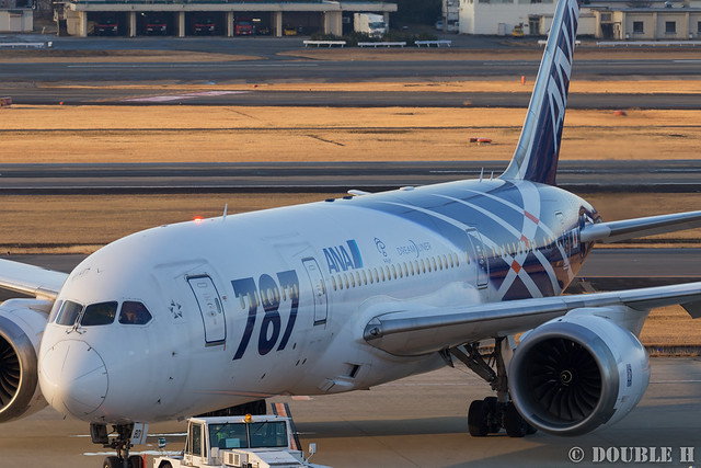 さよなら鯖太郎 ～ANA B787 初号機 JA801A 特別塗装機、最後の思い出