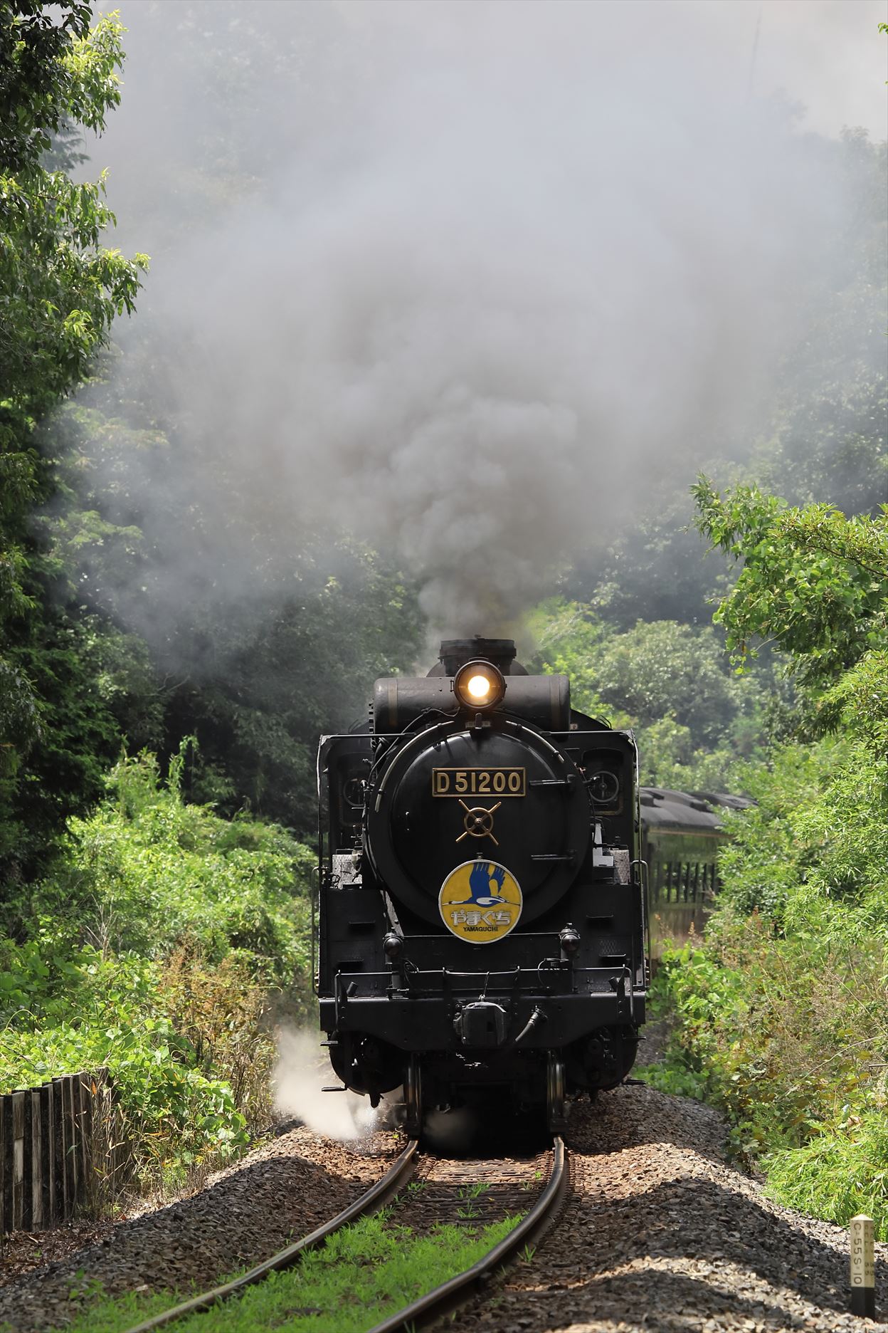 運転開始45周年を迎えたSLやまぐち号 初日往路 その1（2024.8.2