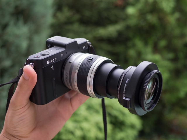 Photographing Macro with Nikon 1 Nikkor VR 30-110mm f3.8-5.6 – Big