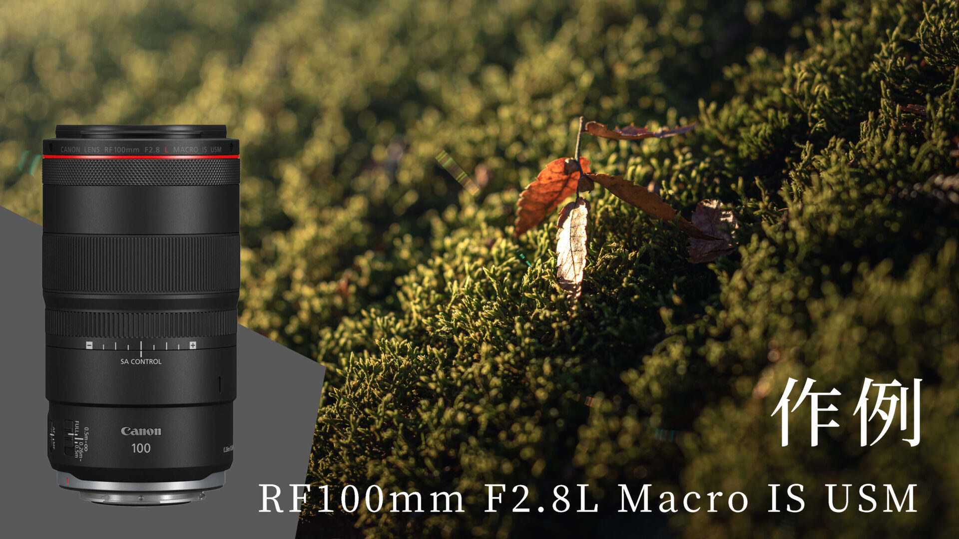 作例】RF100mm F2.8 L Macro IS USMで撮影した写真たち - Photography Blog