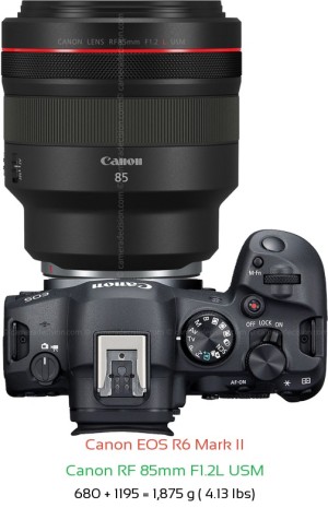 Canon R6 II Camera and Canon RF 24-105mm F2.8 L Lens