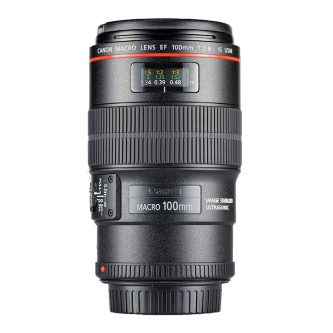 Canon EF 100mm f/2.8L Macro IS USM Lens | Macro Lenses