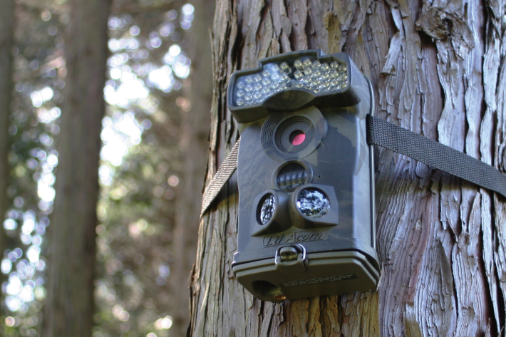 トレイルカメラ Ltl Acorn Ltl-6310MC / WMC - 株式会社 キャムズ