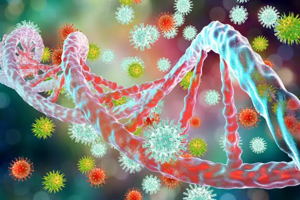 TUMOR VIRUSES: From Infection To Cancer. - Cancer Biogenomics