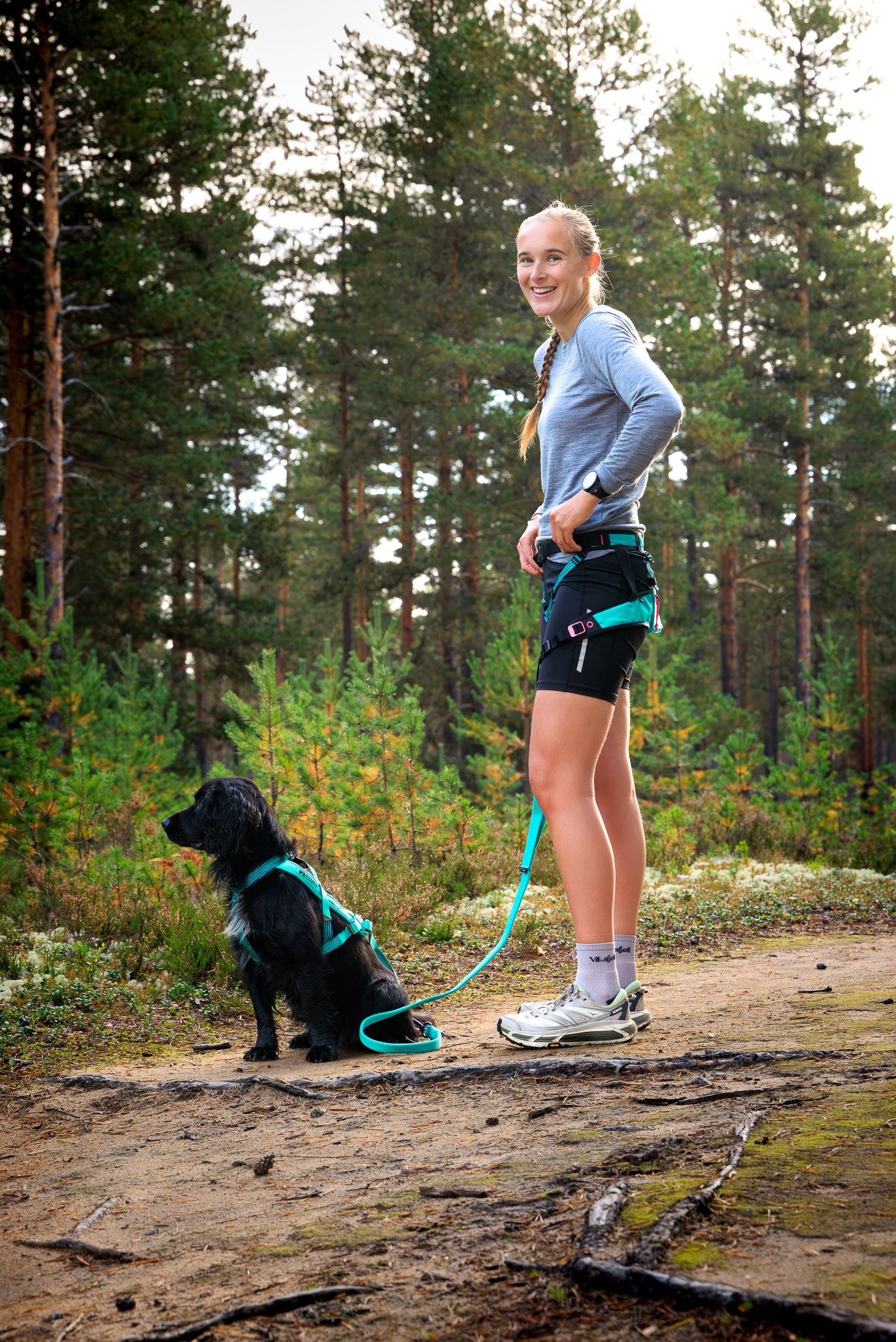 CaniX belt 2.0 カニクロス用ベルト – イヌと何でも楽しむ委員会