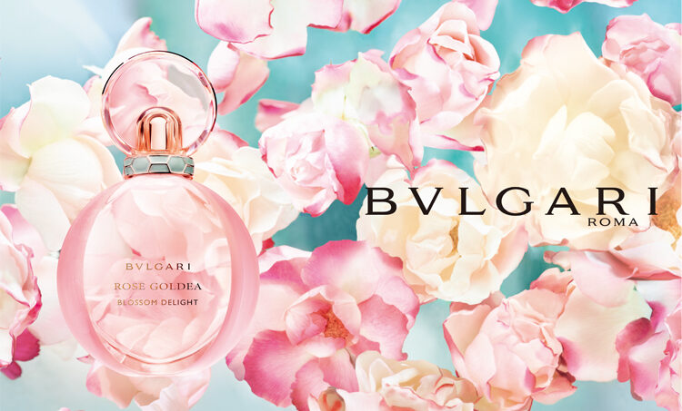 ブルガリ】ローズ ゴルデア ブロッサム ディライト（アルベルト