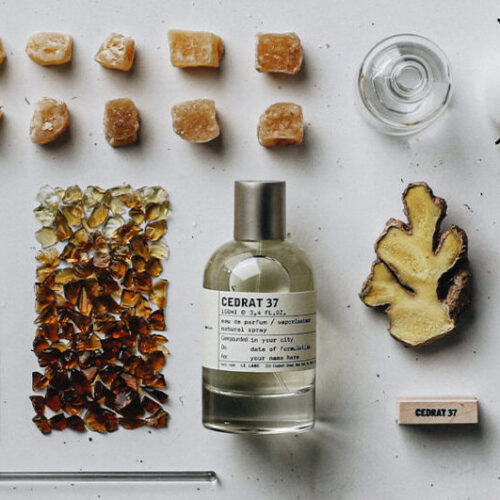 ル ラボ】セドラ37 ベルリン（ダフネ・ブジェ） | カイエ・デ・モード