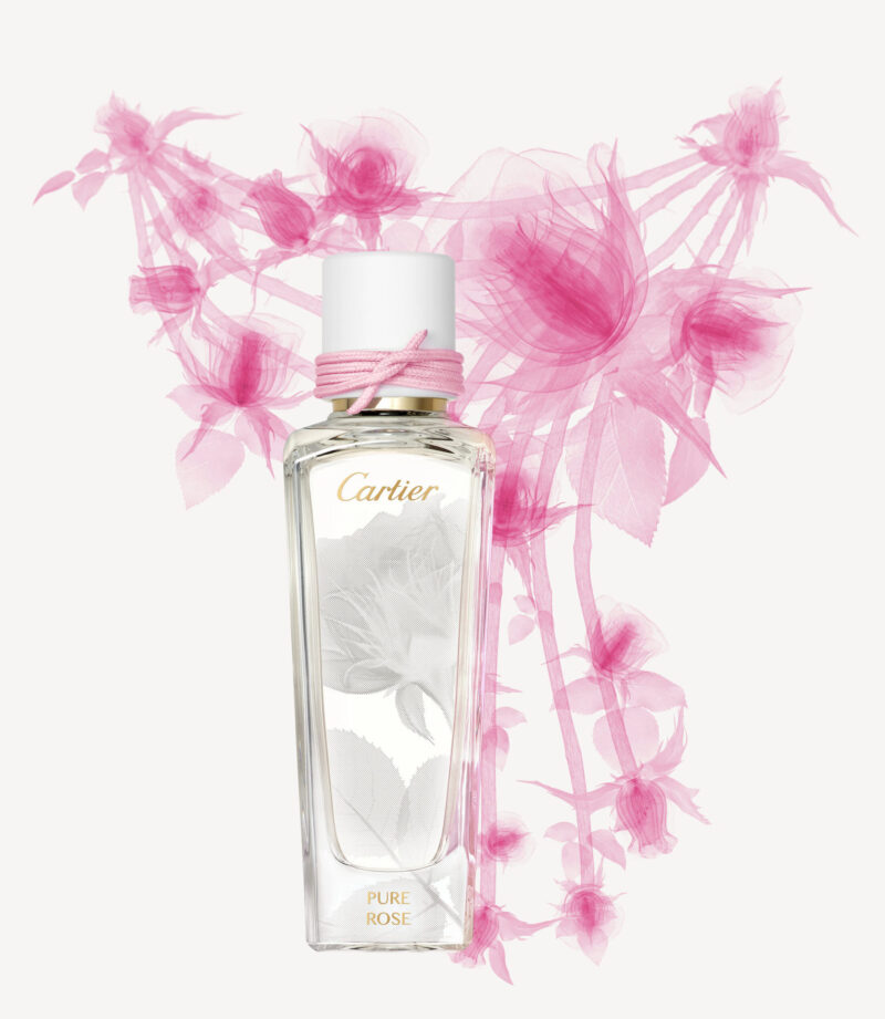 1_CRFG075010_PURROSE_LESEPURES