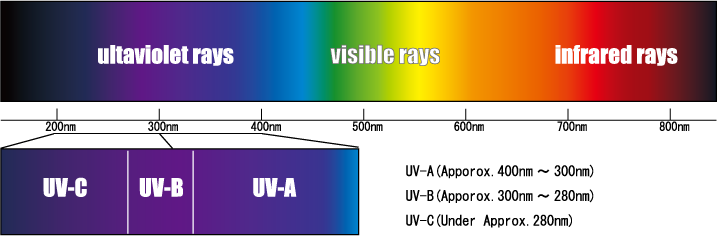 Caprêve|Caprêve|(C) Omotesando bihada Cosmetics Inc.