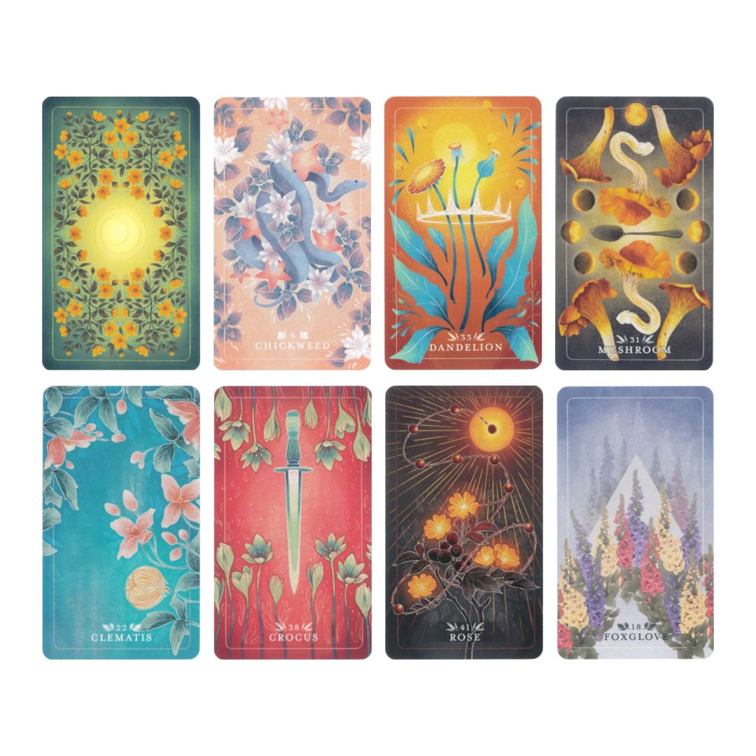 シード＆シックルオラクル 日本語解説書付き (2024年1月発売) | 日本の