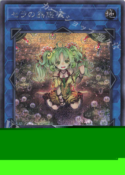 SE セラの蟲惑魔 販売 | [TDS2] STRUCTURE DECK 蟲惑魔の森 -決闘者