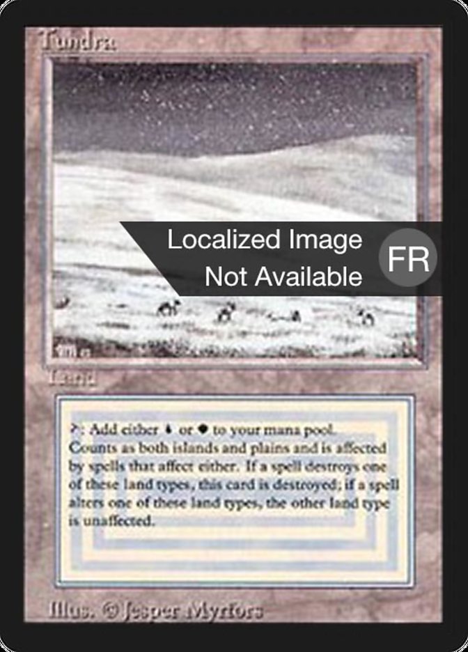 Toundra (Tundra) · Foreign Black Border (FBB) #289 · Scryfall