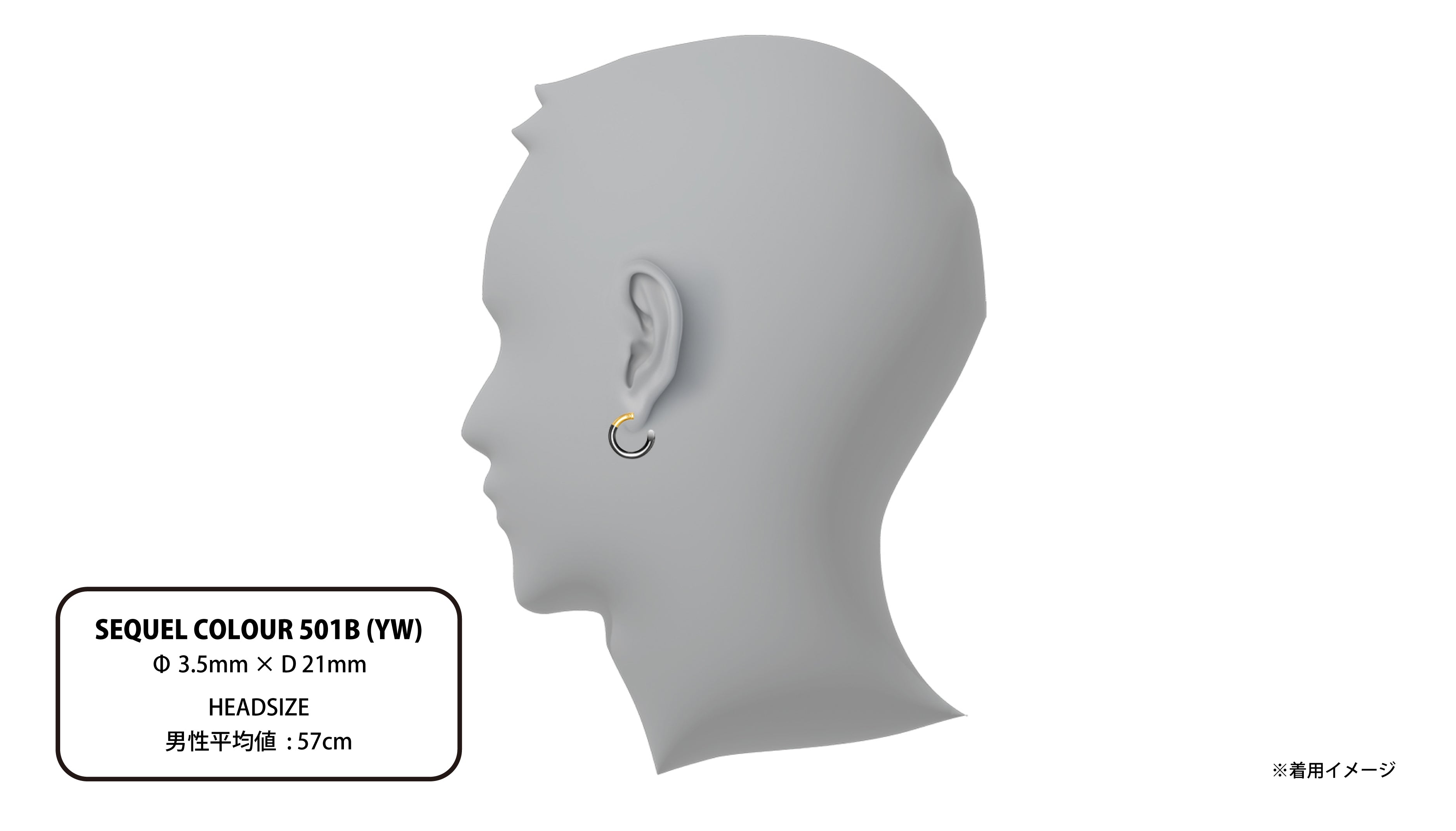 SEQUEL COLOUR 501B (YW) | CAREERING - キャリアリング公式オンライン