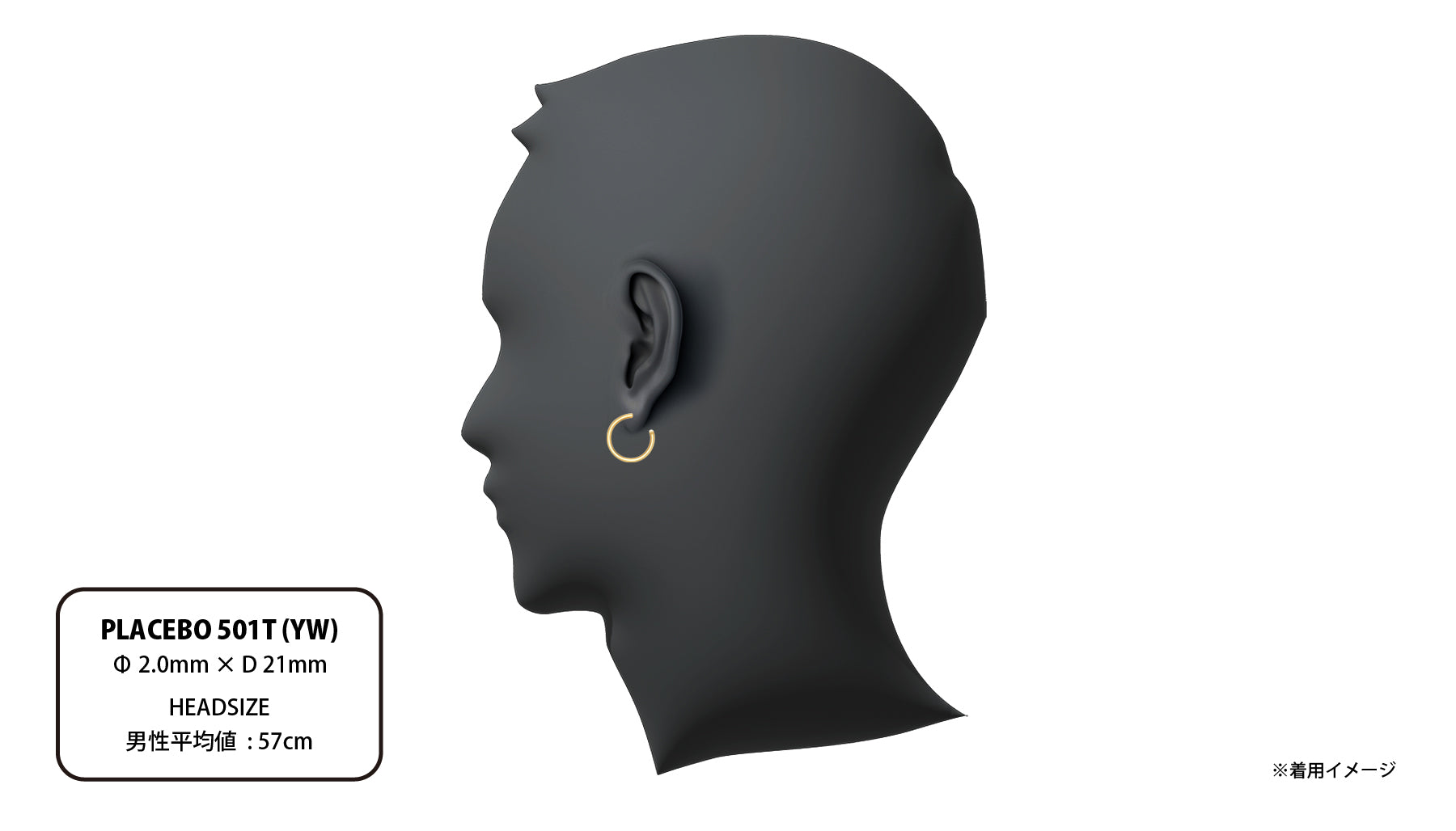 PLACEBO 501T (YW) | CAREERING - キャリアリング公式オンラインストア