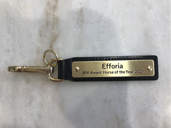 Topics & News - CARROT CLUB -