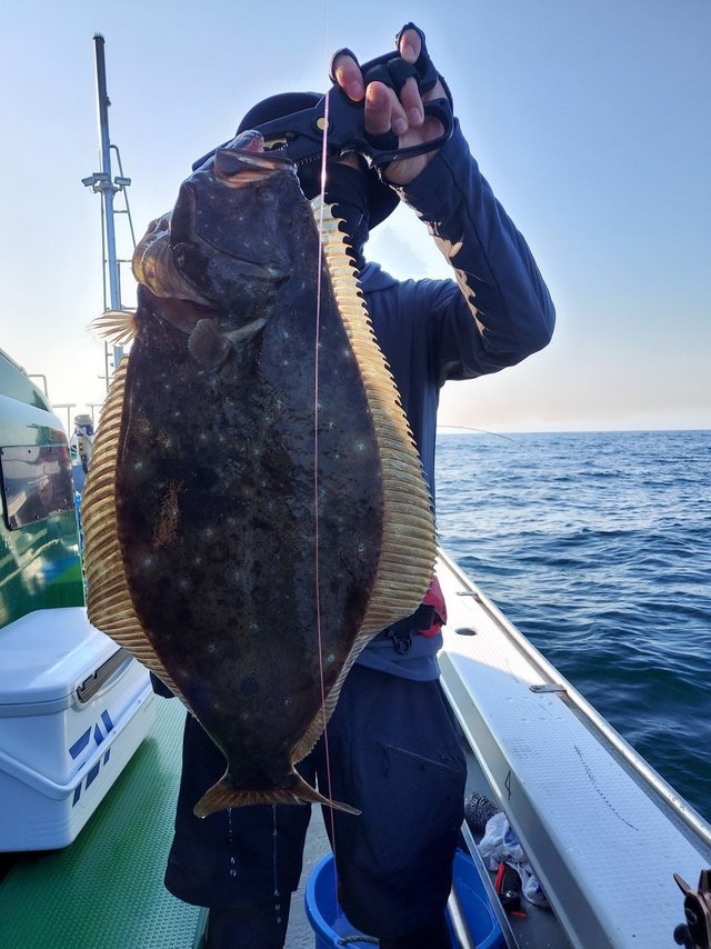 ダイワ DAIWA 21 ソルティガIC 300HL-SJ 左巻【即日発送】(300HL-SJ