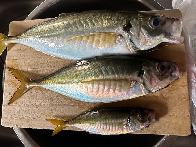 ダイワ 22ジリオン TW HD 1000HL (左)【即日発送】(1000HL): リール