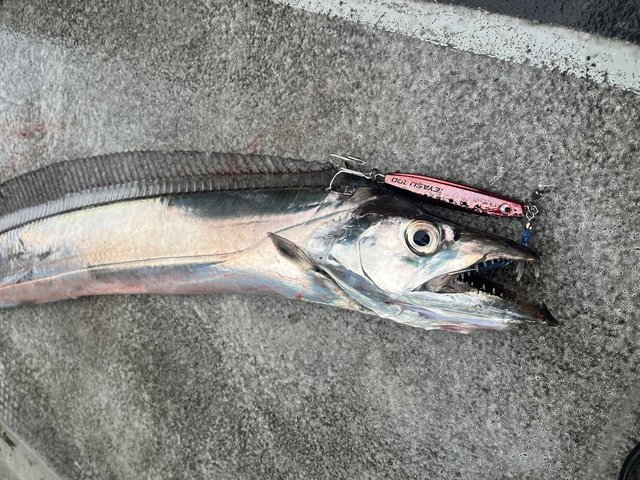 ゼスタ ジギングロッド スクランブル スーパーライトスペック B65-XUL