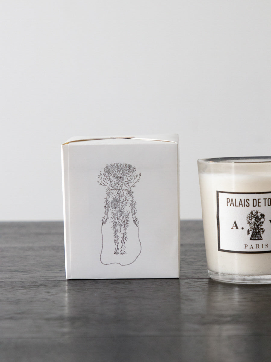 CANDLE Palais de Tokyo