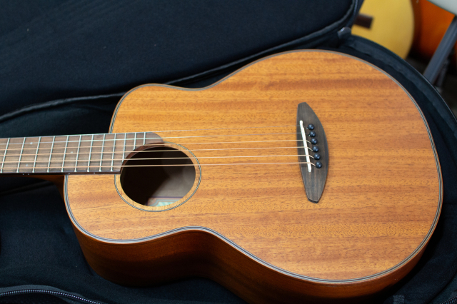 aNueNue aNN-M20 (All Mahogany) アヌエヌエ M20 オールマホガニー