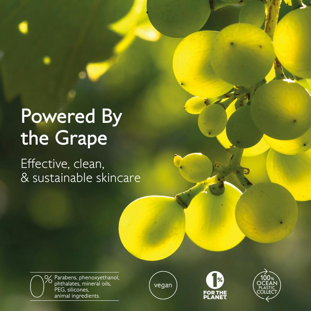 Premier Cru The Cream | CAUDALIE®