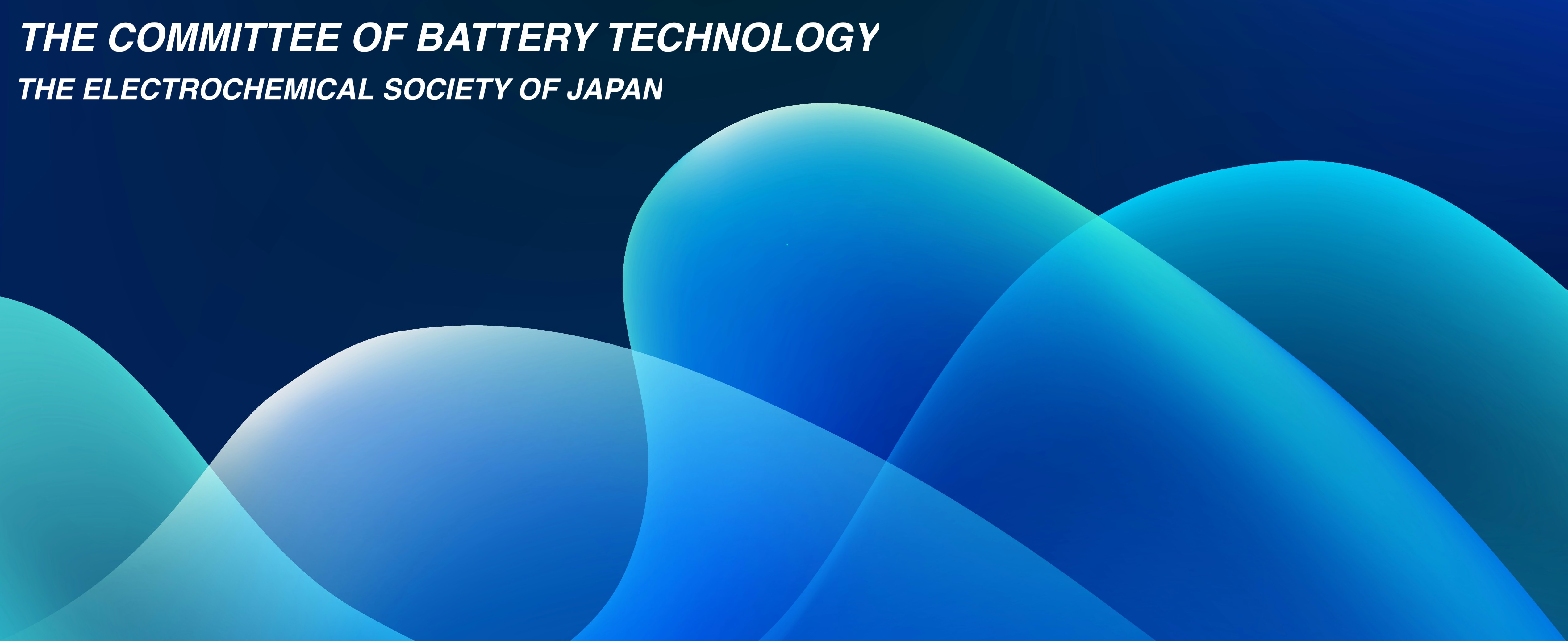 公益社団法人 電気化学会 電池技術委員会
