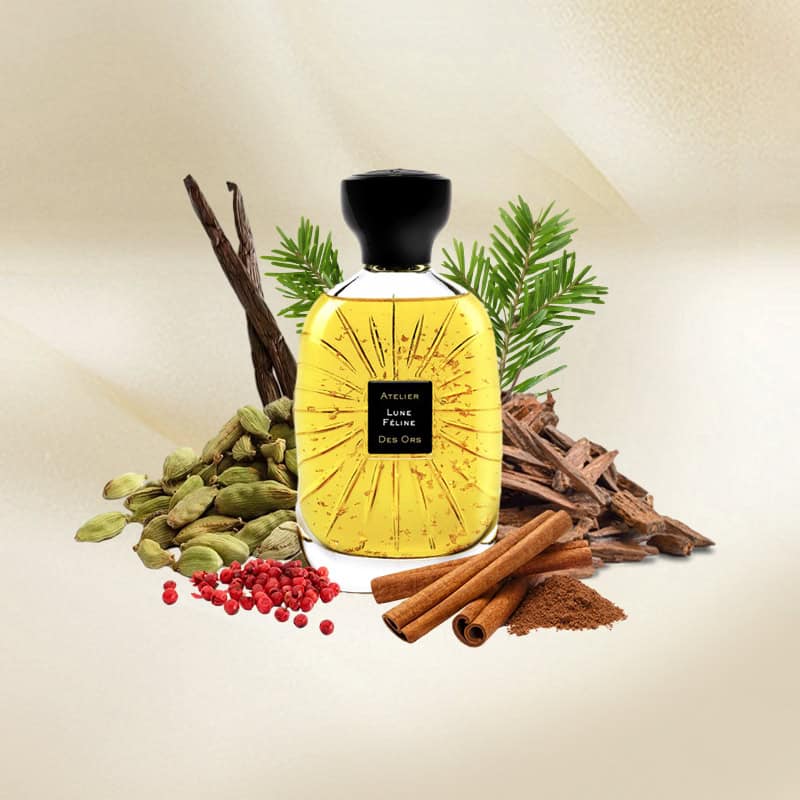 Atelier Des Ors Lune Feline Eau de Parfum - Lowest Price| Beautinow