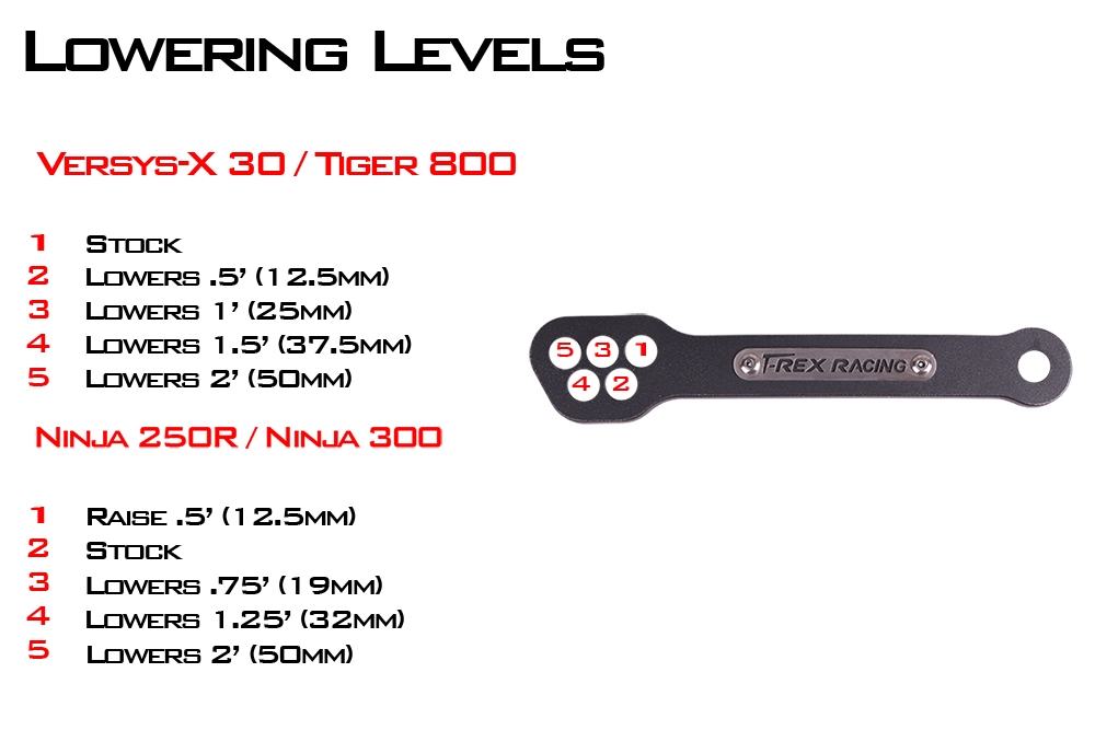 T-Rex Racing Kawasaki Ninja 250R / 300R / Versys-X 300 Triumph