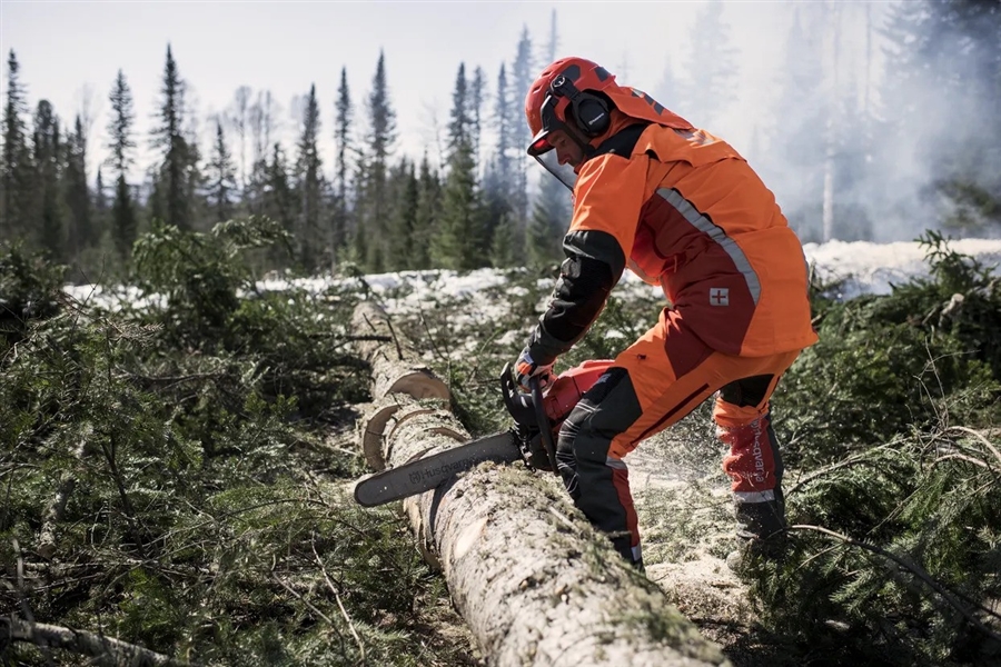 Husqvarna 565 Chainsaw