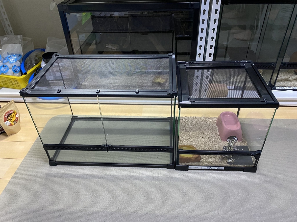 Eterins 50×30×35爬虫類ケージのレビュー - umihebierabuログ