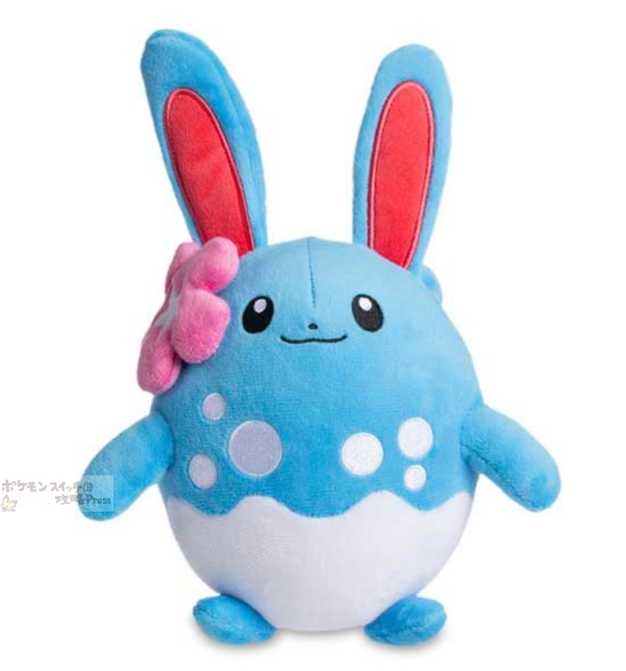 ポケモン世界大会2024】ポケモンWCS2024ホノルル（ハワイ）日程と