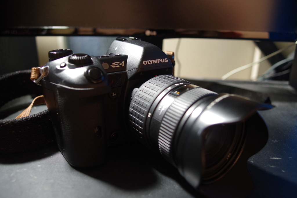 OLYMPUS E-1 - 人生は沼だらけ