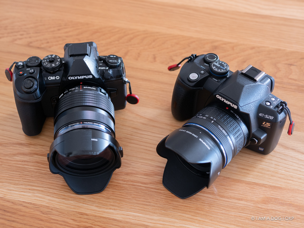 最初に手にした一眼レフカメラ OLYMPUS E-520を再び手に入れて初心を