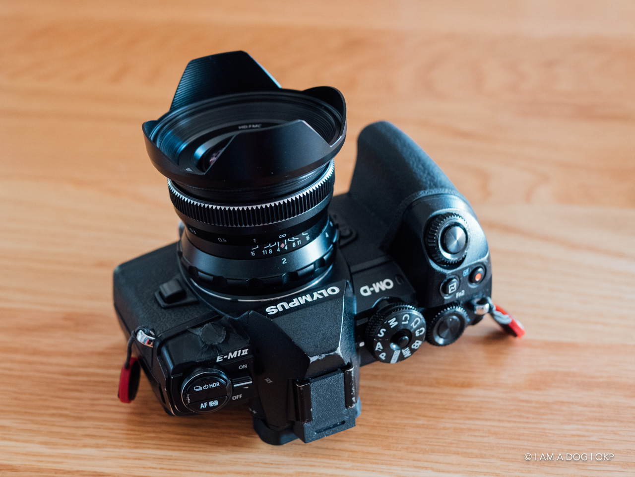 1万円台の広角単焦点レンズ PERGEAR 12mm F2 レビュー - I AM A DOG