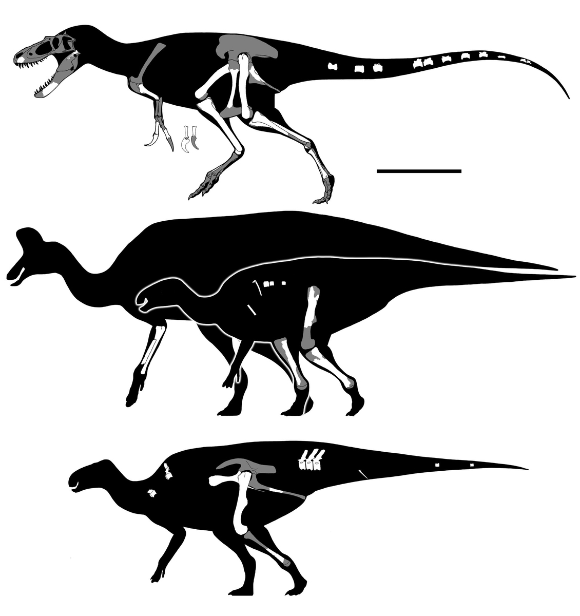 廃れゆく泥灰土坑【ブログ開設8周年記念記事】 - GET AWAY TRIKE !