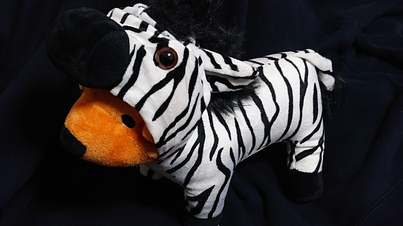 ポップサーカス(POP CIRCUS)公演 in 道の駅うつのみや「ろまんちっく村