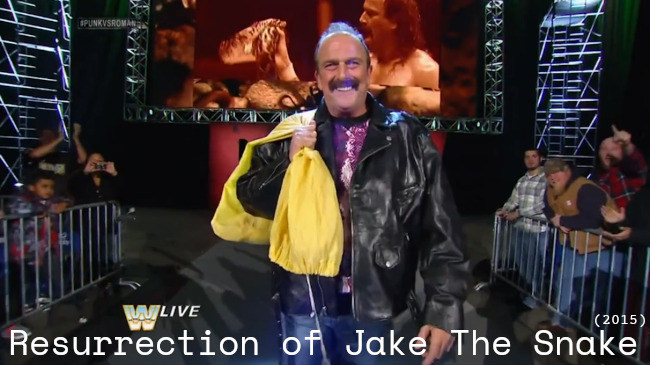 ジェイク・ザ・スネークの復活』(2015)／何十年もアル中ジャンキーだっ