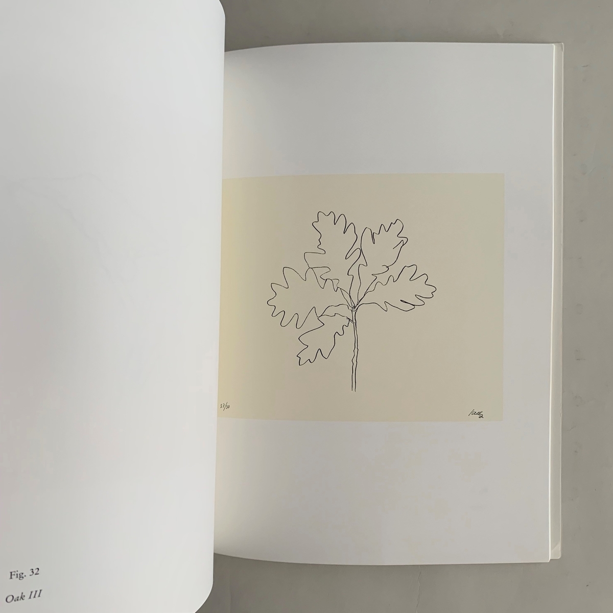 Ellsworth Kelly: Plant Lithographs 1973-1997 - 本まるさんかくし