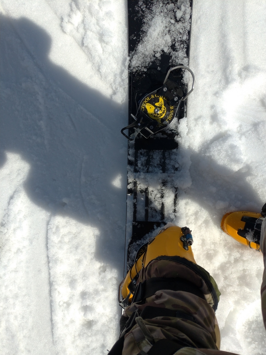 22/23 ALC RC15プレート+スタビライザー - アルペンスノーボード試乗日記