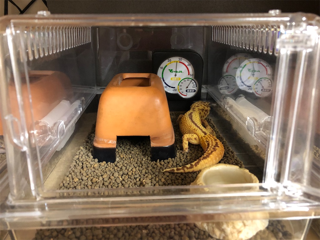 レオパ・ニシアフの飼育環境 - まにまにカンタ〜レ