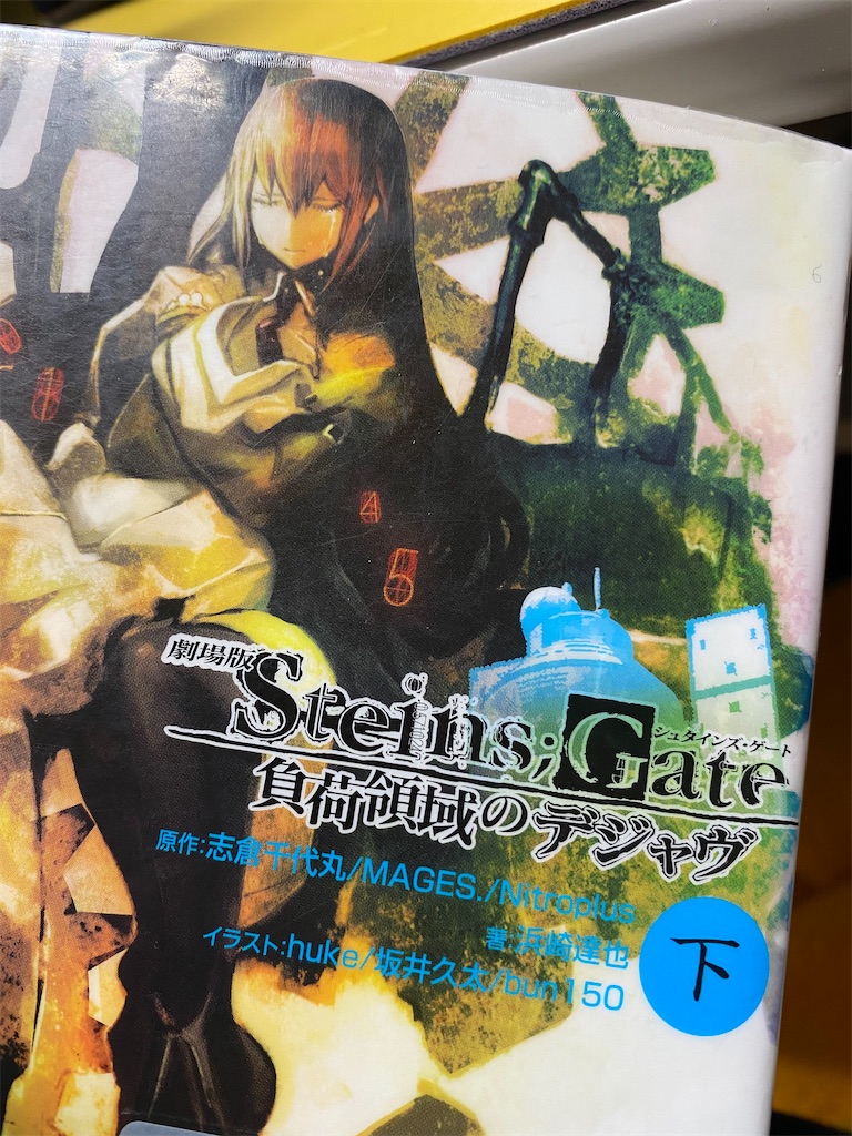 劇場版シュタインズゲート『負荷領域のデジャヴ』 - カモメのサッカー