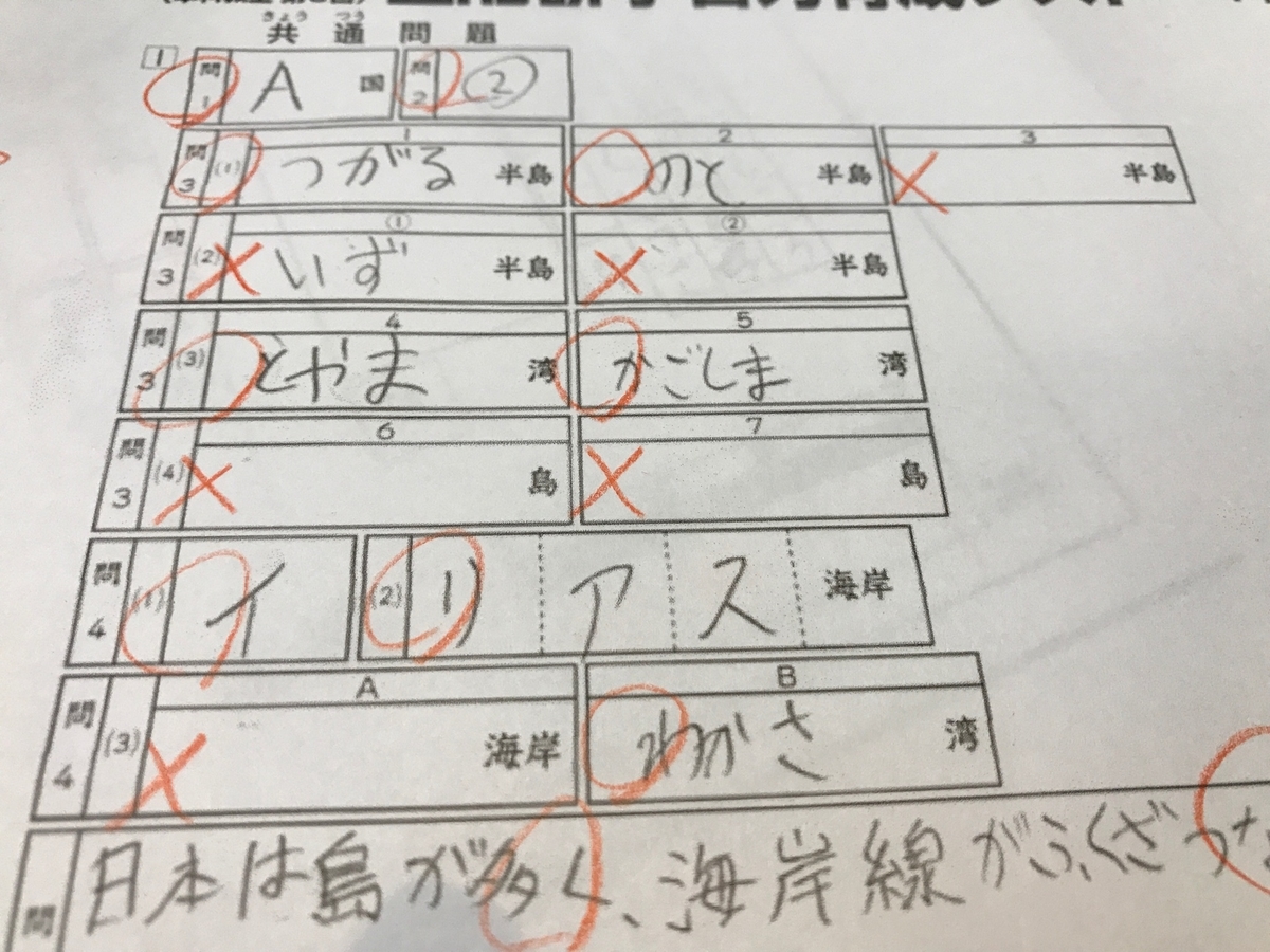 日能研 第6回育成テストなんとか終了 (自宅受験で満身創痍です） - 私